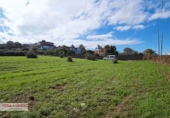 Non-developable land for sale in El Sauzal ref: TR181193 photo