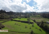 Non-developable land for sale in El Sauzal ref: TR181193 photo