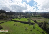 Non-developable land for sale in El Sauzal ref: TR181193 photo
