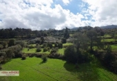 Non-developable land for sale in El Sauzal ref: TR181193 photo