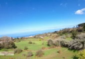 Non-developable land for sale in El Sauzal ref: TR181193 photo