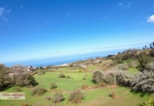 Non-developable land for sale in El Sauzal ref: TR181193 photo