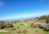 Non-developable land for sale in El Sauzal ref: TR181193 photo