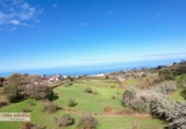 Non-developable land for sale in El Sauzal ref: TR181193 photo