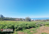 Non-developable land for sale in Tacoronte ref: TR308204 photo