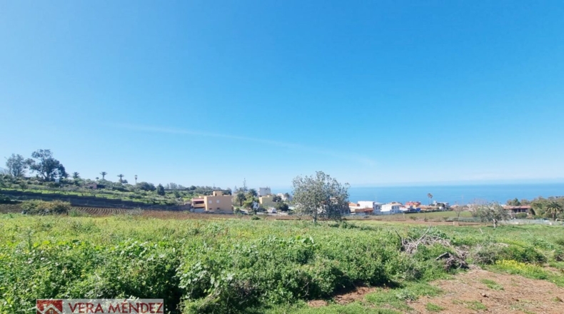 Santa Cruz de Tenerife - Tacoronte - 4955m2