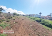 Non-developable land for sale in Tacoronte ref: TR308204 photo