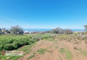 Non-developable land for sale in Tacoronte ref: TR308204 photo