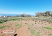 Non-developable land for sale in Tacoronte ref: TR308204 photo