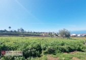 Non-developable land for sale in Tacoronte ref: TR308204 photo