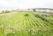 Non-developable land for sale in Tacoronte ref: TR308203 photo