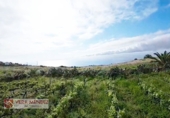 Non-developable land for sale in Tacoronte ref: TR308203 photo