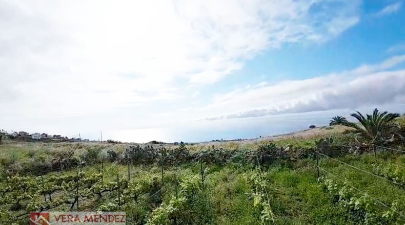 Santa Cruz de Tenerife - Tacoronte - 6136m2