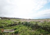 Non-developable land for sale in Tacoronte ref: TR308203 photo