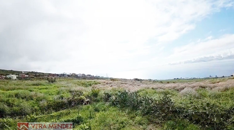 Santa Cruz de Tenerife - Tacoronte - 6136m2
