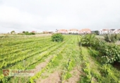 Non-developable land for sale in Tacoronte ref: TR308203 photo
