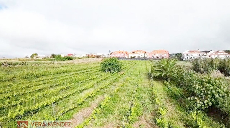 Santa Cruz de Tenerife - Tacoronte - 6136m2