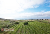 Non-developable land for sale in Tacoronte ref: TR308203 photo