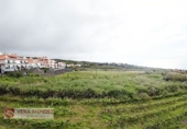 Non-developable land for sale in Tacoronte ref: TR308203 photo