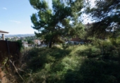 Sòl urbà en venda a Castellgalí ref.: TR346389 foto