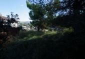 Sòl urbà en venda a Castellgalí ref.: TR346389 foto