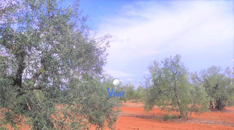 Sevilla - Alcalá de Guadaíra - 50000m2