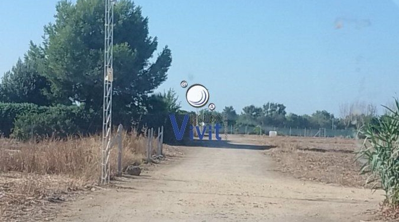 Sevilla - Utrera - 1000m2