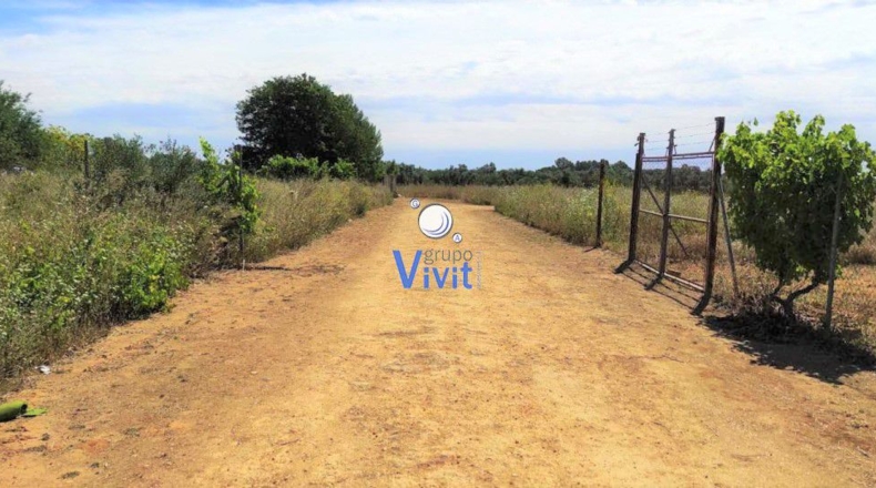 Sevilla - Utrera - 1000m2