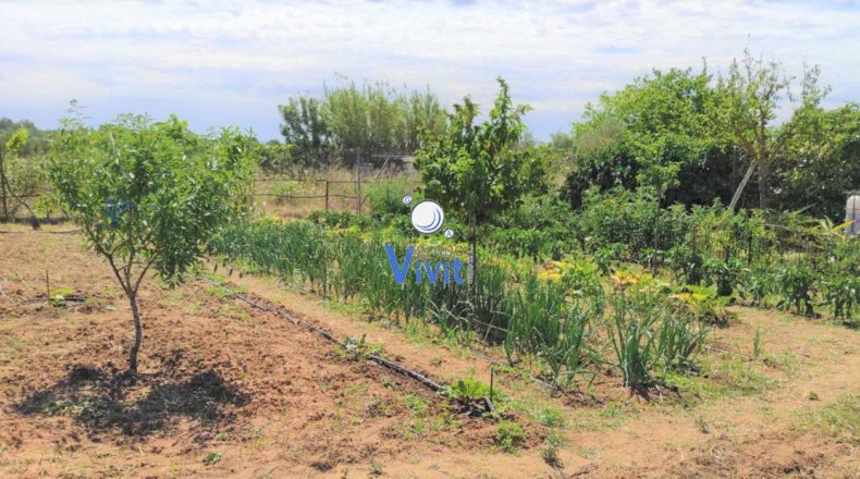 Sevilla - Utrera - 1000m2