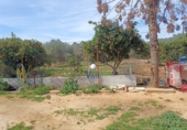 Terreno no urbanizable en venta en Alcalá de Guadaíra ref: TR185208 foto