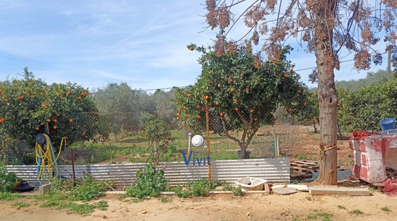 Seville - Alcalá de Guadaíra - 1600m2