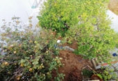 Terreno no urbanizable en venta en Alcalá de Guadaíra ref: TR185208 foto