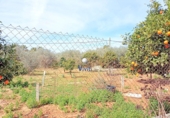 Terreno no urbanizable en venta en Alcalá de Guadaíra ref: TR185208 foto