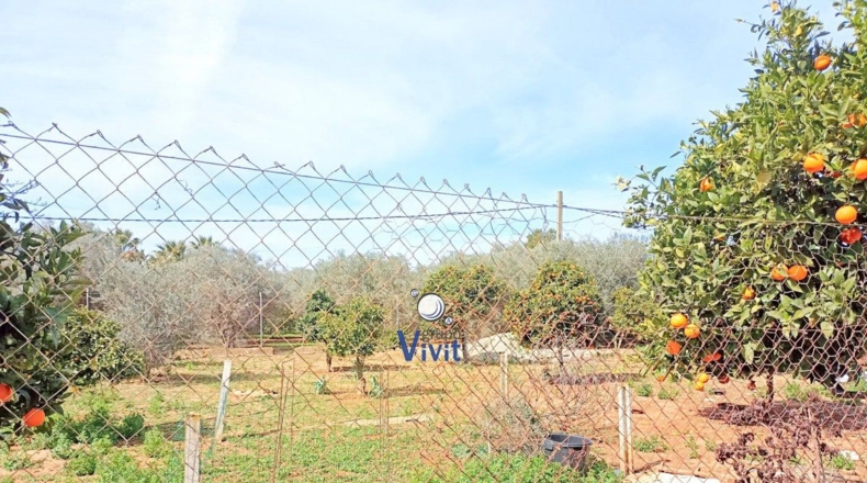 Seville - Alcalá de Guadaíra - 1600m2
