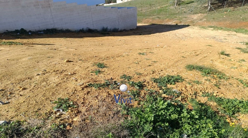 Sevilla - Alcalá de Guadaíra - 307m2