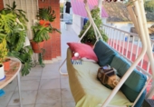 Villa con terreno en venta en Dos Hermanas ref: TR106328 foto