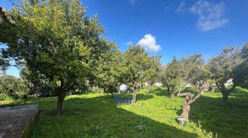 Sevilla - Alcalá de Guadaíra - 2551m2