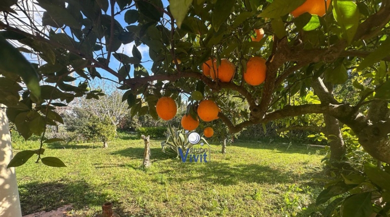 Sevilla - Alcalá de Guadaíra - 2551m2