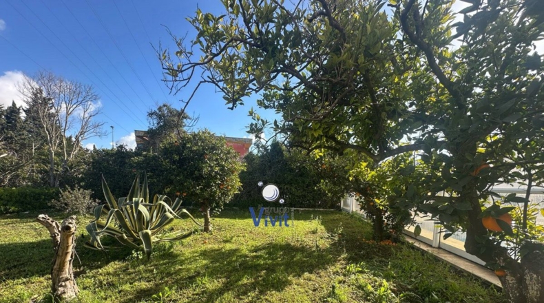 Sevilla - Alcalá de Guadaíra - 2551m2
