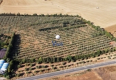 Terreny no urbanitzable en venda a Alcalá de Guadaíra ref.: TR261641 foto