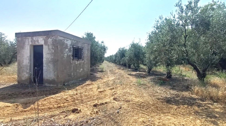 Севилья - Alcalá de Guadaíra - 43188m2
