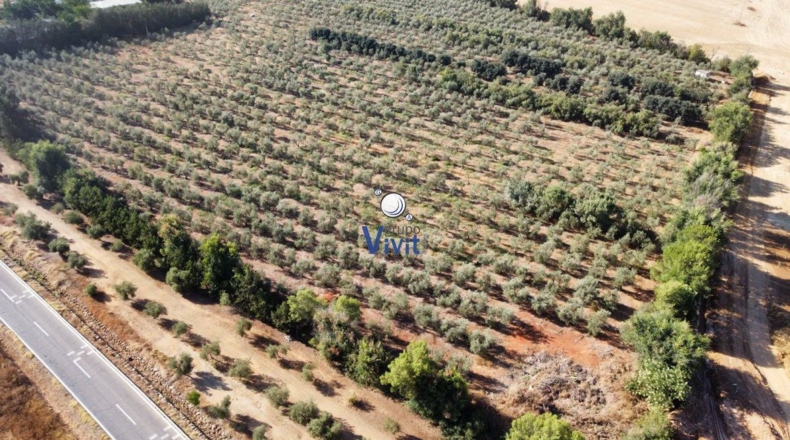 Севилья - Alcalá de Guadaíra - 43188m2