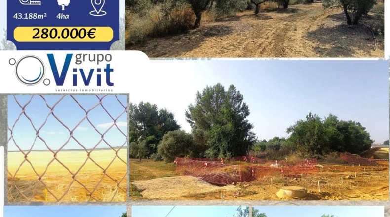 Севилья - Alcalá de Guadaíra - 43188m2