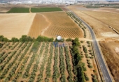 Terreny no urbanitzable en venda a Alcalá de Guadaíra ref.: TR261641 foto