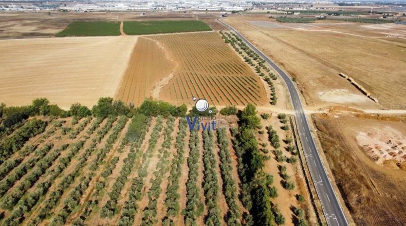 Севилья - Alcalá de Guadaíra - 43188m2