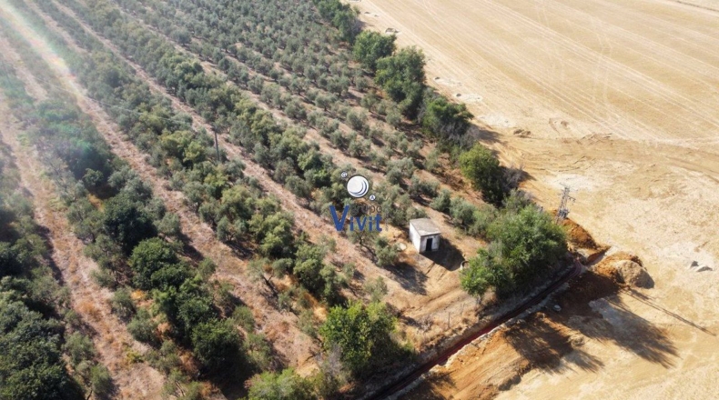 Севилья - Alcalá de Guadaíra - 43188m2