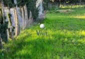 Non-developable land for sale in Dos Hermanas ref: TR377454 photo