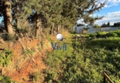 Non-developable land for sale in Dos Hermanas ref: TR377454 photo