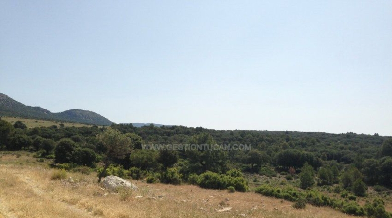 Albacete - Nerpio - 5000000m2
