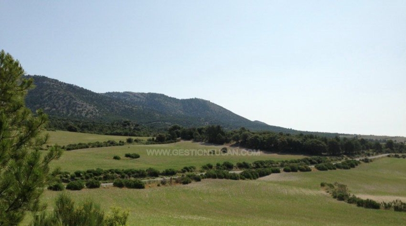 Albacete - Nerpio - 5000000m2